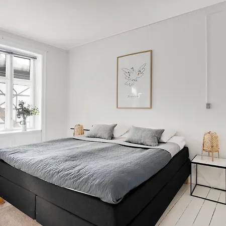 Cozy Two-bedroom In Osterbro Copenhagen