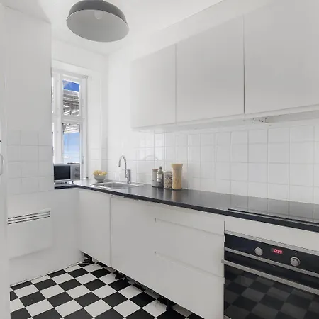 Cozy Two-bedroom In Osterbro 公寓 哥本哈根