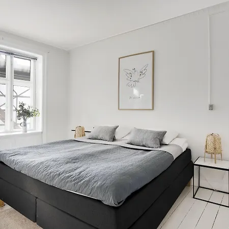 Cozy Two-bedroom In Osterbro 公寓